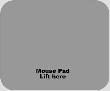 mouse